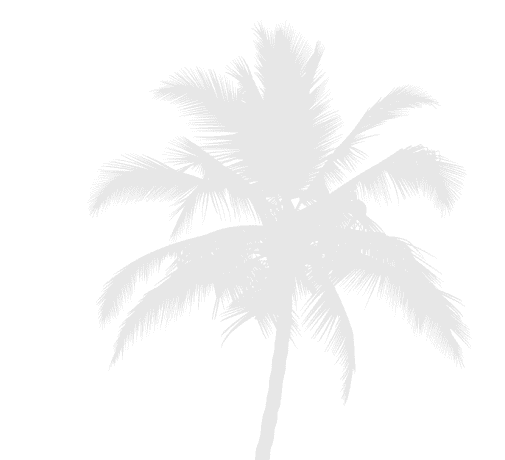 4x4 Off Road Location De Voiture Marrakech Motif 4x4 1